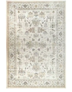 Fab Habitat Pasadena Distressed Machine Washable Rug in Multicolour