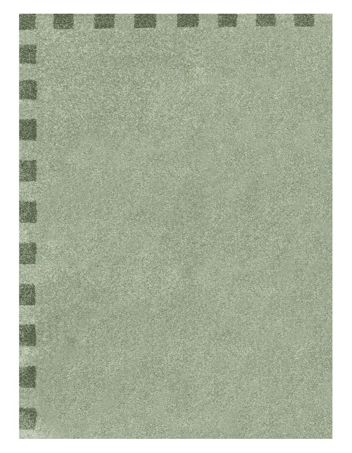 LOOPSIE  ISCHIA SAGE JUTE BLEND RUG image 5