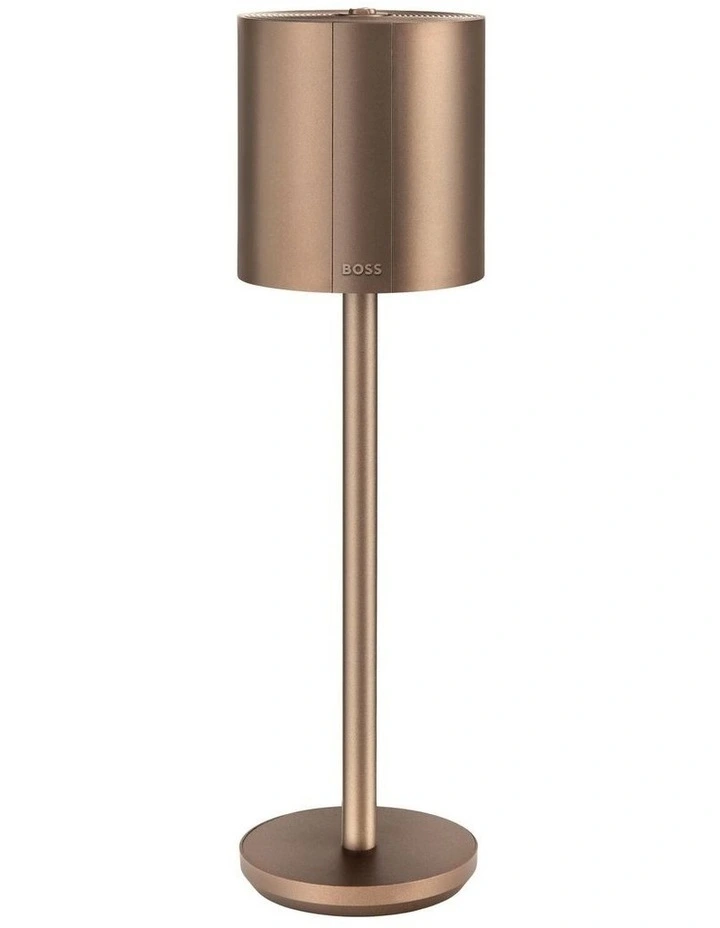 BOSS Lamp Elemental Camel image 1