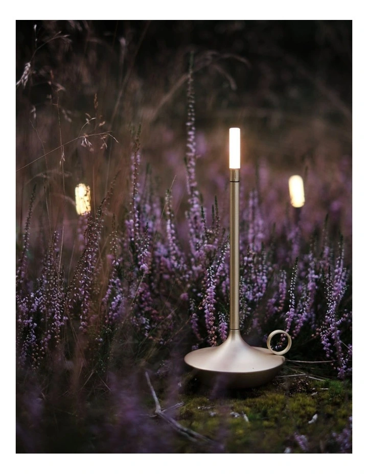 Wick - Brass image 7