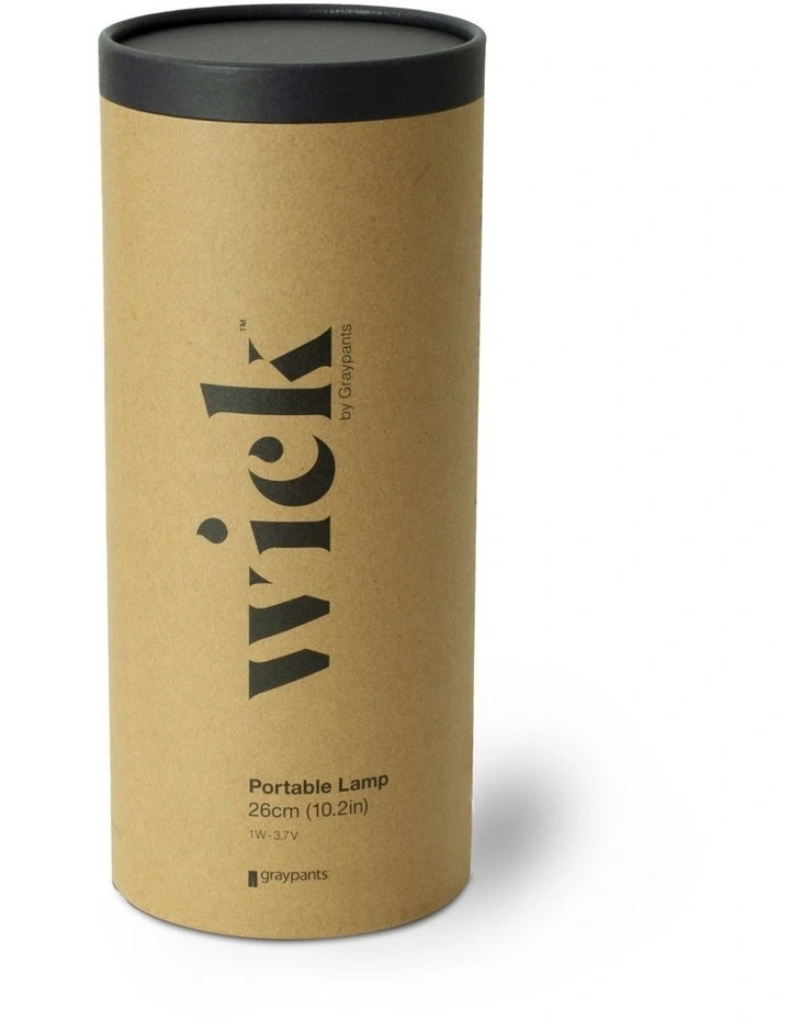 Wick - Graphite image 7