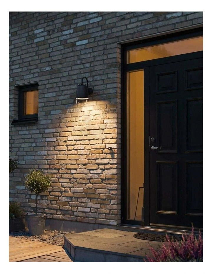 Hink Exterior Cage Surface Mounted Wall Lights IP44 image 2