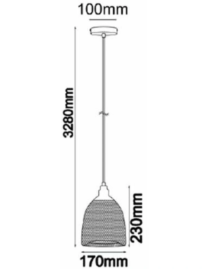 Cheveux Industrial Black Mesh Bird Cage Pendant Light image 3