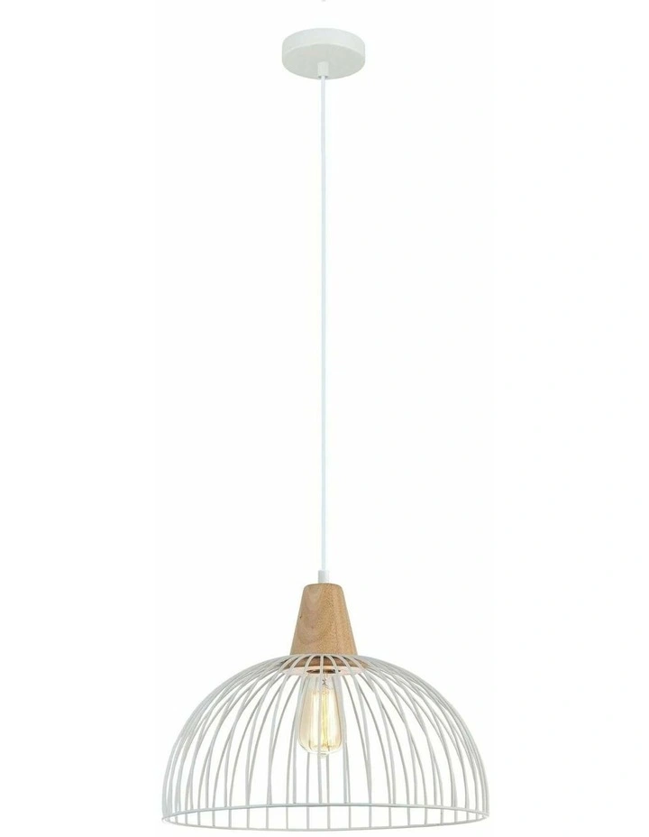 Strand Iron and Wood Dome Cage Pendant Lights image 1