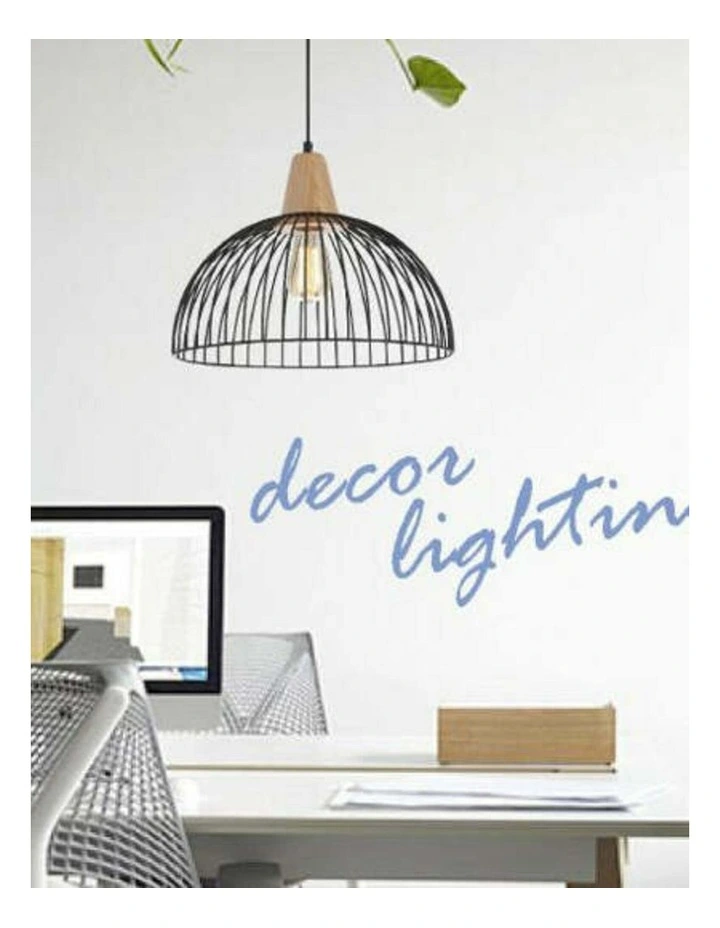 Strand Iron and Wood Dome Cage Pendant Lights image 2