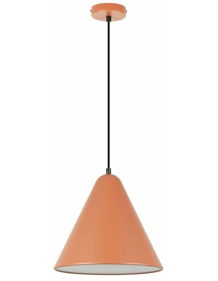 Konus Interior Iron Shade with Frosted Diffuser Pendant Lights image 1