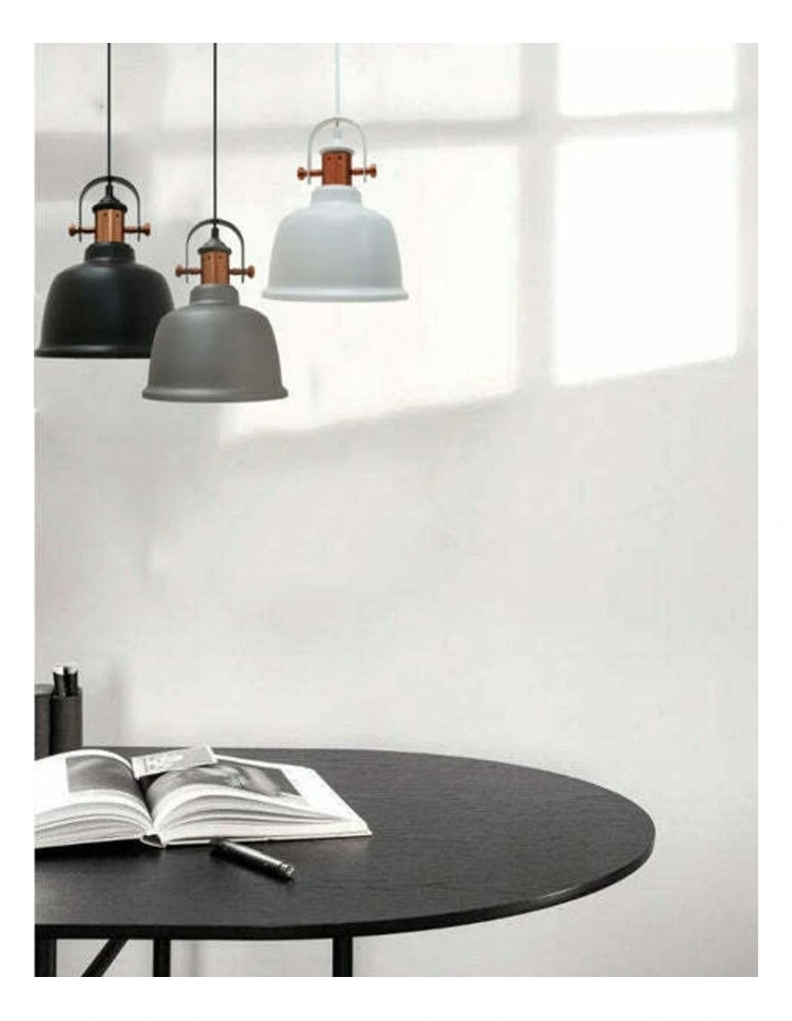 Alta Industrial Bell Shape With Copper Highlights Pendant Lights image 2