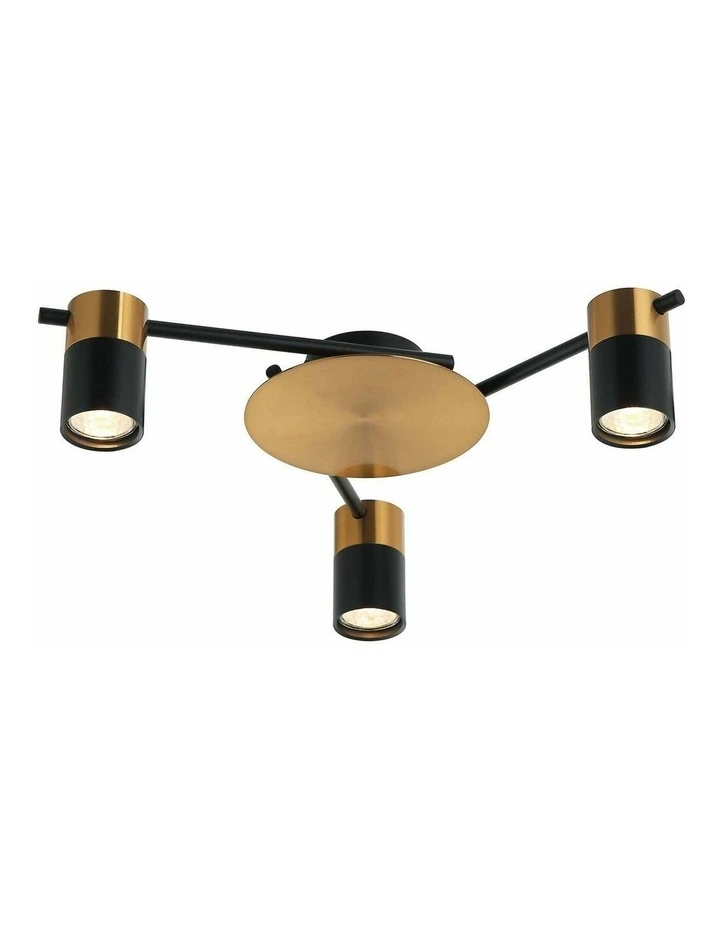 Tache Interior Spot Ceiling Lights (with Adjustable Black & Antique Brass Heads) IP20 image 1