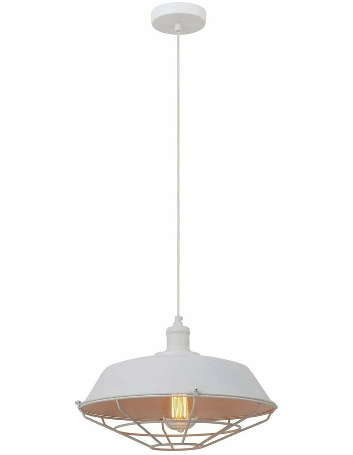 Matrix Industrial Iron Dome & Cage Pendant Lights image 1
