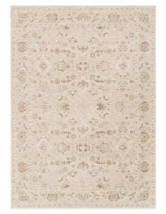 D103- Delphine Warm Biscotti Vintage Beige Rug