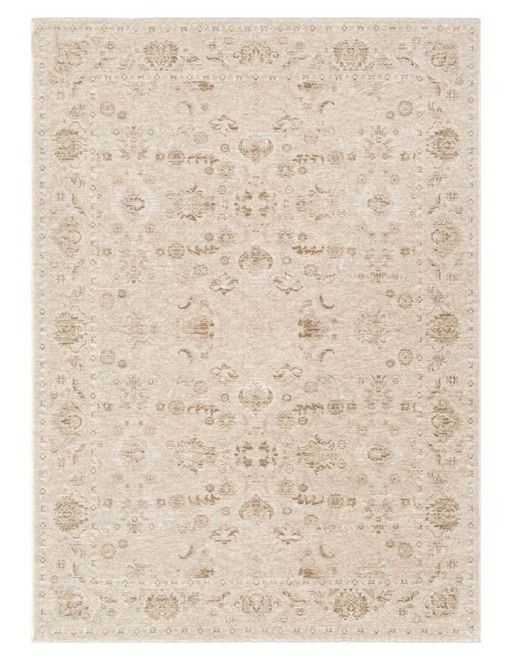 D103- Delphine Warm Biscotti Vintage Beige Rug image 1