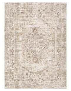D101- Delphine Sahara Medallion Vintage Rug