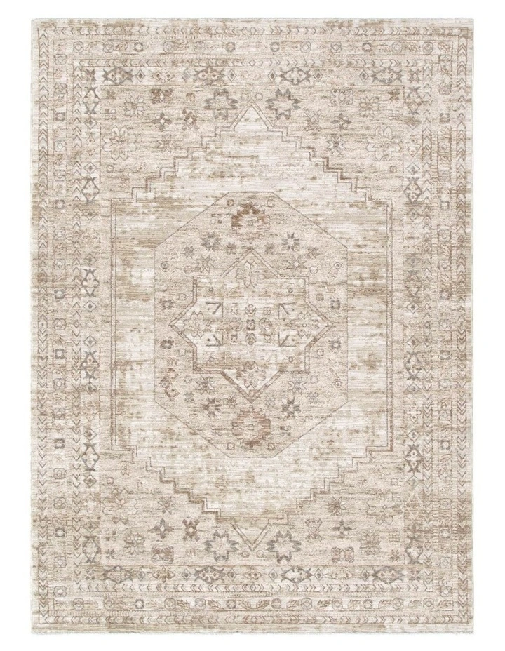 D101- Delphine Sahara Medallion Vintage Rug image 1