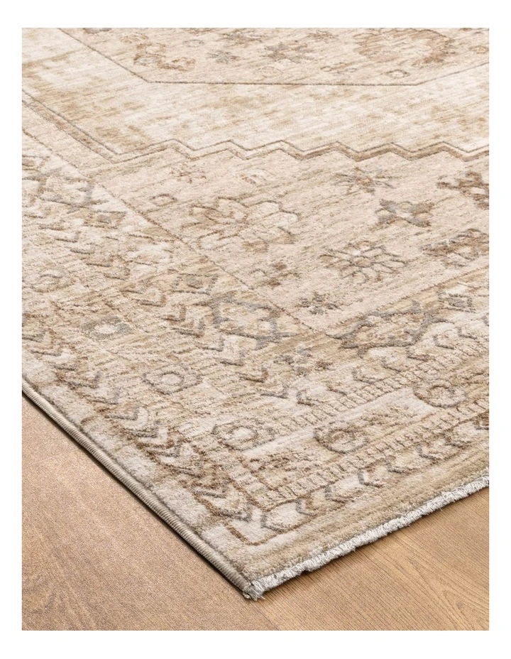 D101- Delphine Sahara Medallion Vintage Rug image 2