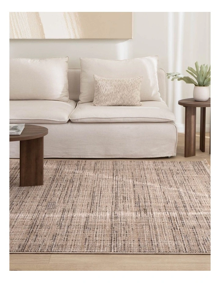 Cherie Distressed Look Beige Grey Rug - CH03 image 4