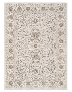 D104- Delphine Ivory Multi Vines Vintage Rug
