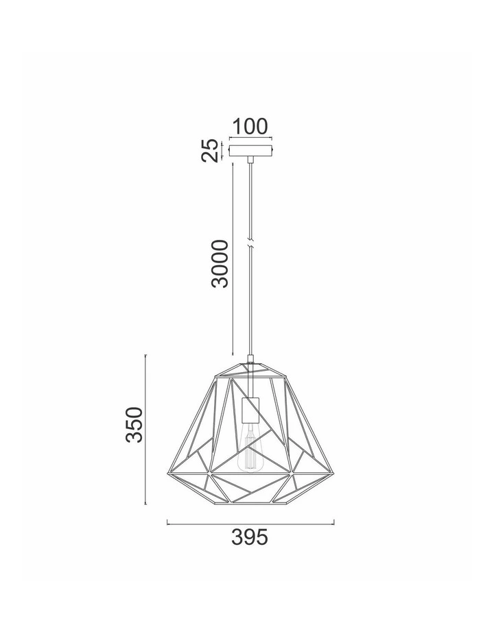 Marte Geometric Design Interior Iron Cage Pendant Lights image 3