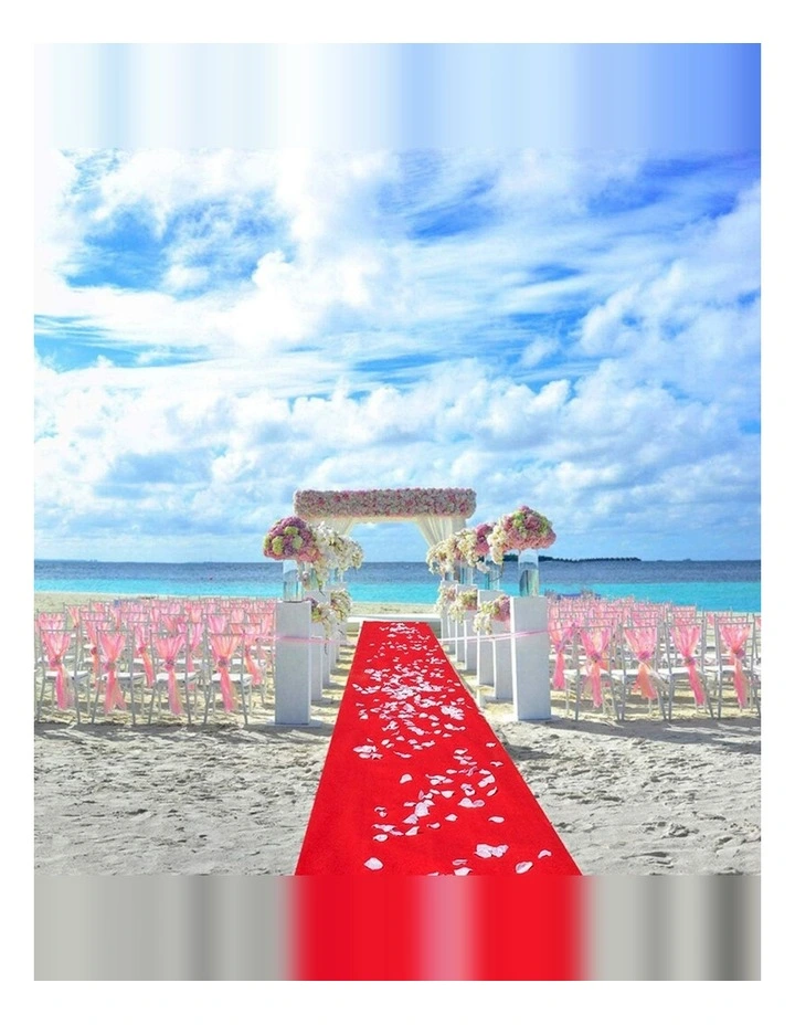 10X1.2M Red Carpet Aisle Runner Wedding Party Event Decoration Mat Rug Non-Woven Fabric Indoor image 5