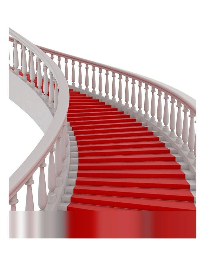 10X1.2M Red Carpet Aisle Runner Wedding Party Event Decoration Mat Rug Non-Woven Fabric Indoor image 6