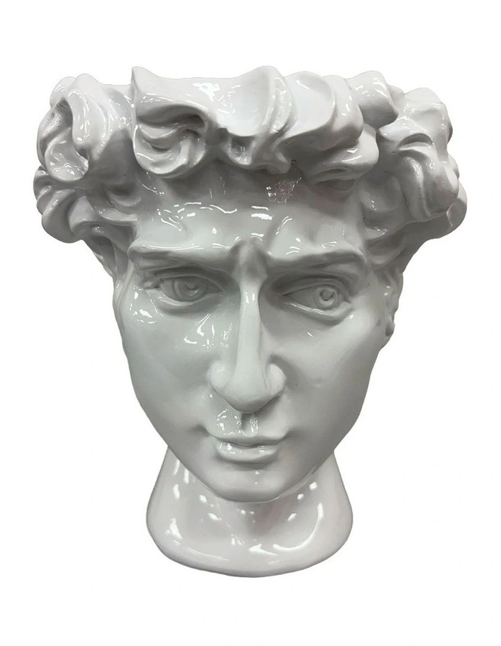 Urban Attitude David Head Planter - Matte White image 1