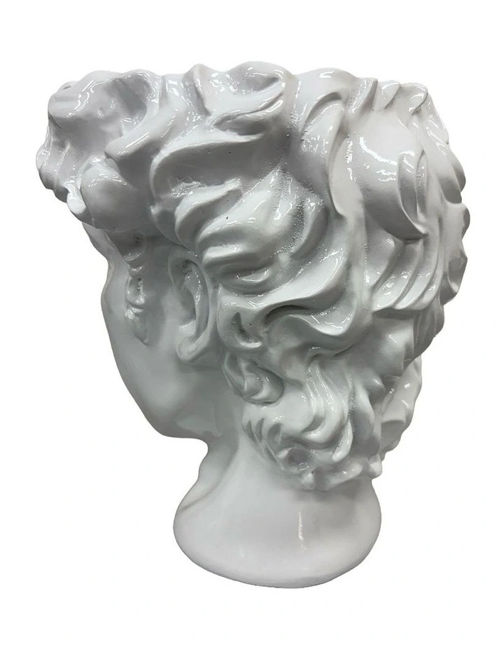 Urban Attitude David Head Planter - Matte White image 2
