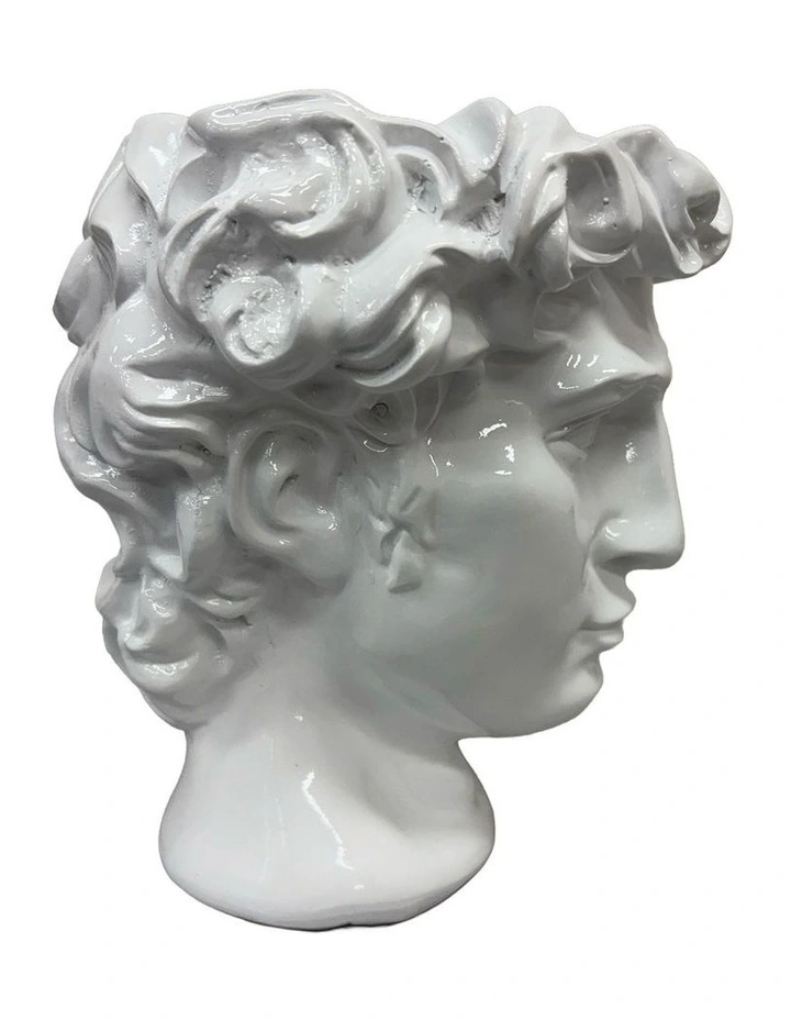 Urban Attitude David Head Planter - Matte White image 3