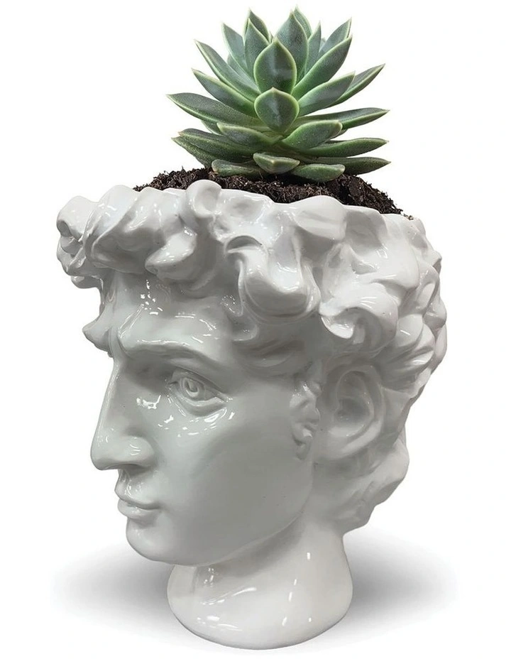 Urban Attitude David Head Planter - Matte White image 4
