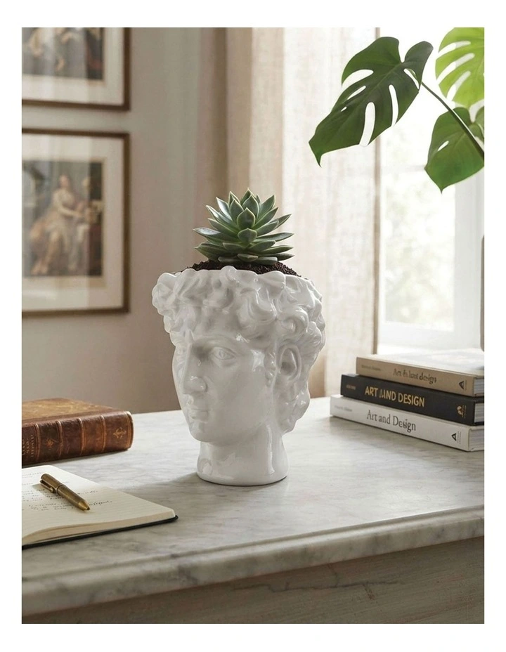 Urban Attitude David Head Planter - Matte White image 5