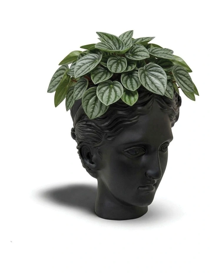 Urban Attitude Venus Head Planter - Matte Black image 5