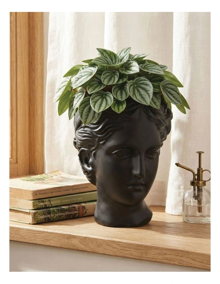 Urban Attitude Venus Head Planter - Matte Black image 6
