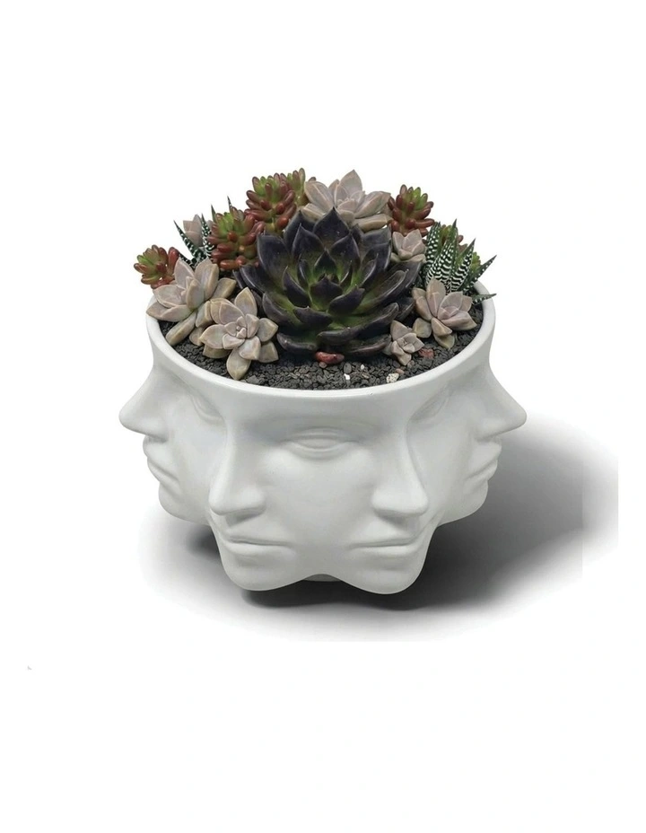 Urban Attitude Face Planter - Matte White image 5