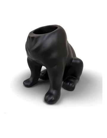 Matte Black colour
