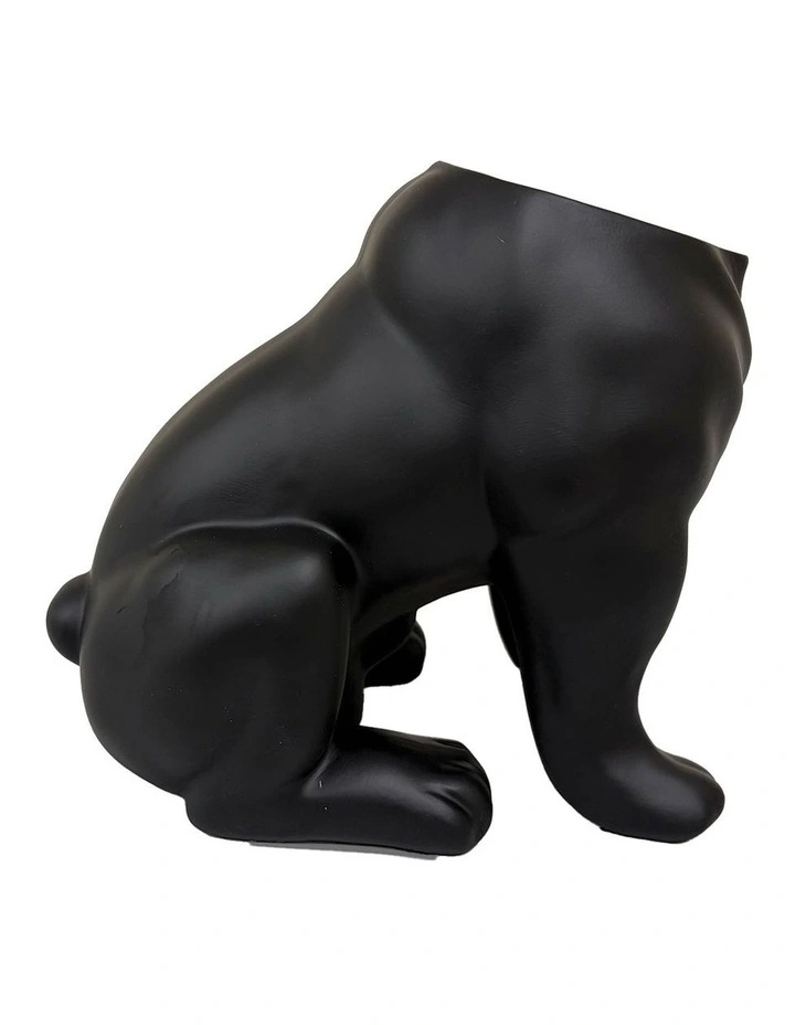Urban Attitude Maggie Bulldog Planter - Matte Black image 4