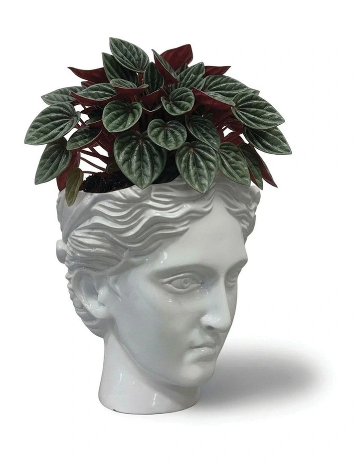 Urban Attitude Venus Head Planter - Matte White image 5