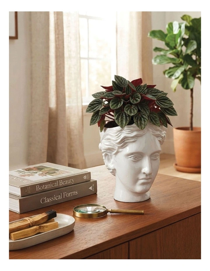 Urban Attitude Venus Head Planter - Matte White image 6