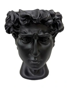 Urban Attitude David Head Planter - Matte Black