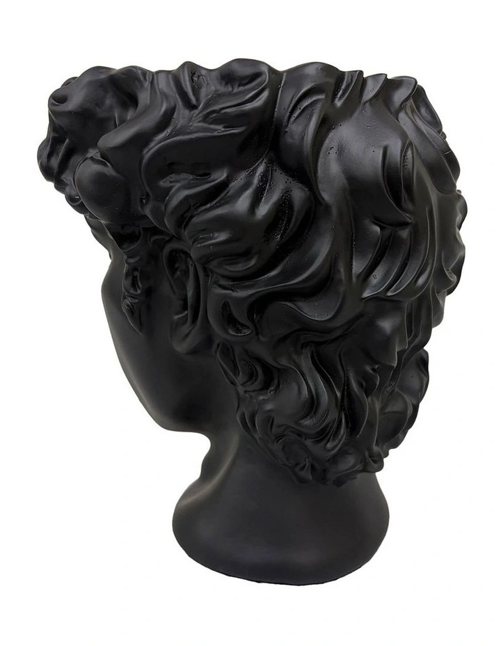 Urban Attitude David Head Planter - Matte Black image 2