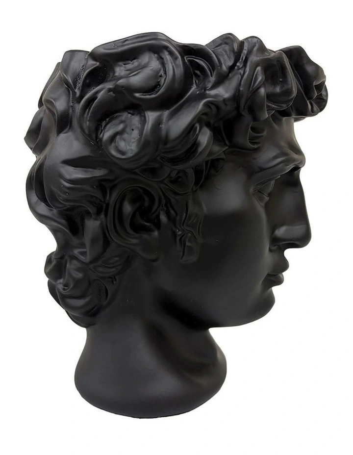 Urban Attitude David Head Planter - Matte Black image 3