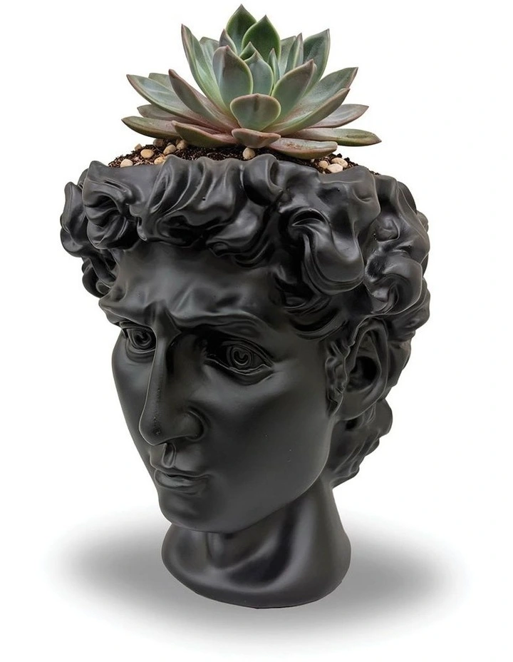 Urban Attitude David Head Planter - Matte Black image 4