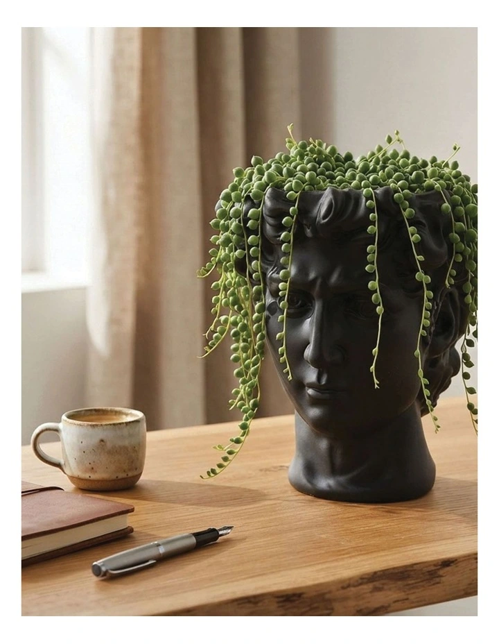 Urban Attitude David Head Planter - Matte Black image 5