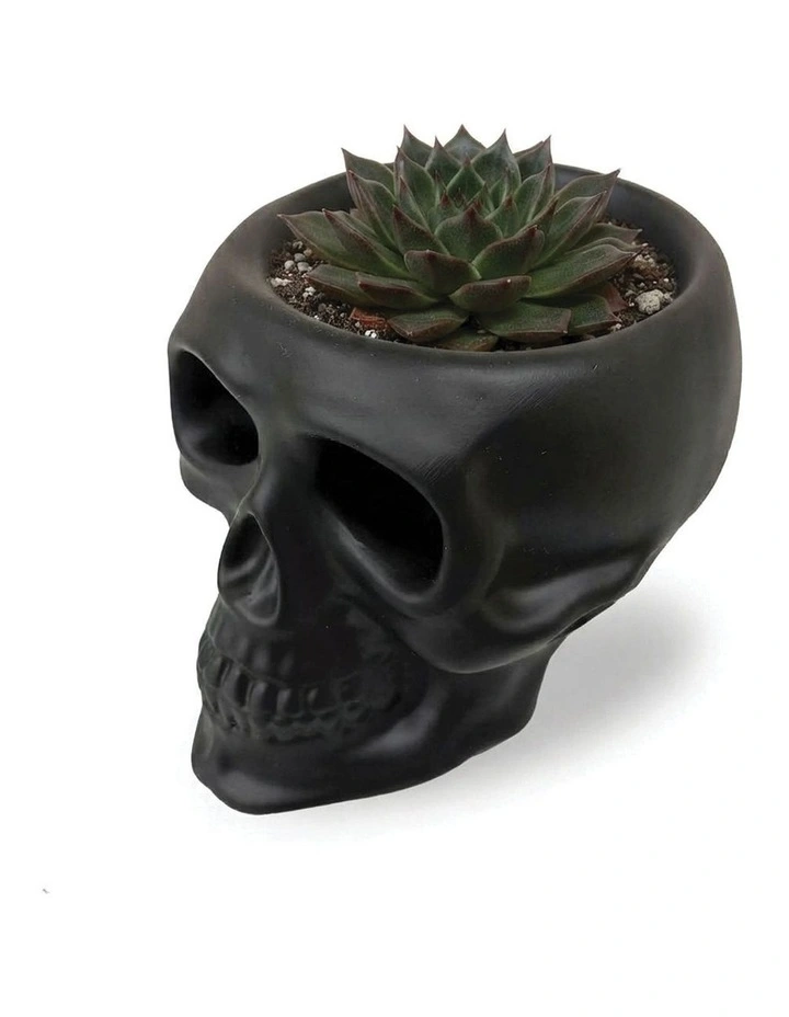 Urban Attitude Skull Statue - Matte Black image 5