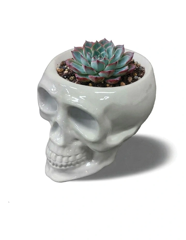 Urban Attitude Skull Statue - Matte White image 5