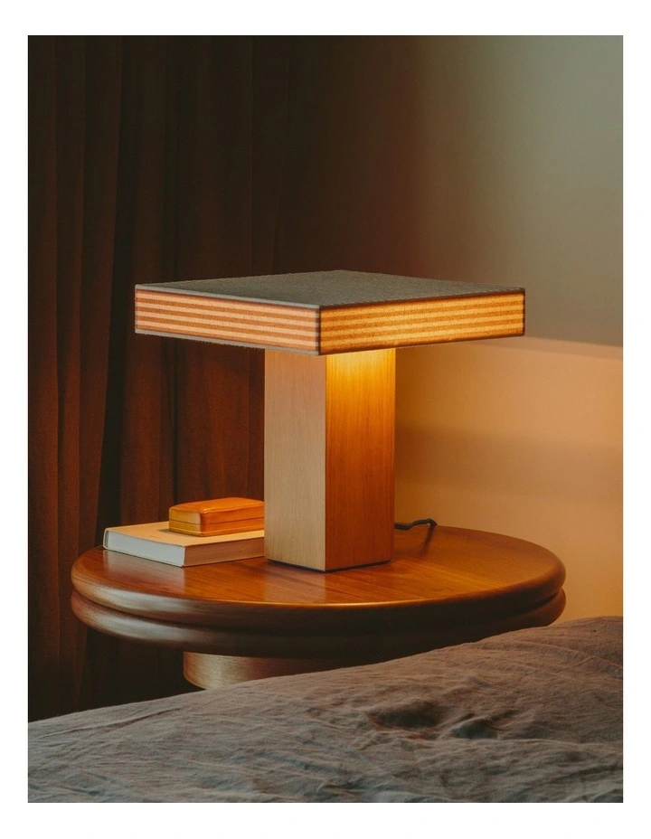 Trunk Lamp in Dirt image 5
