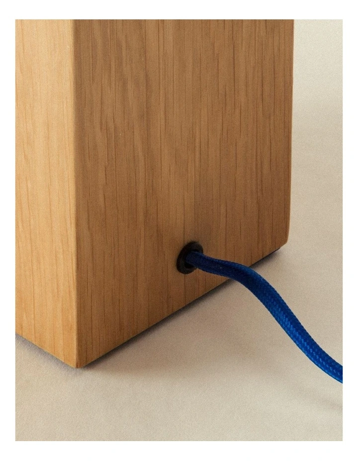 Trunk Lamp in Dirt image 7
