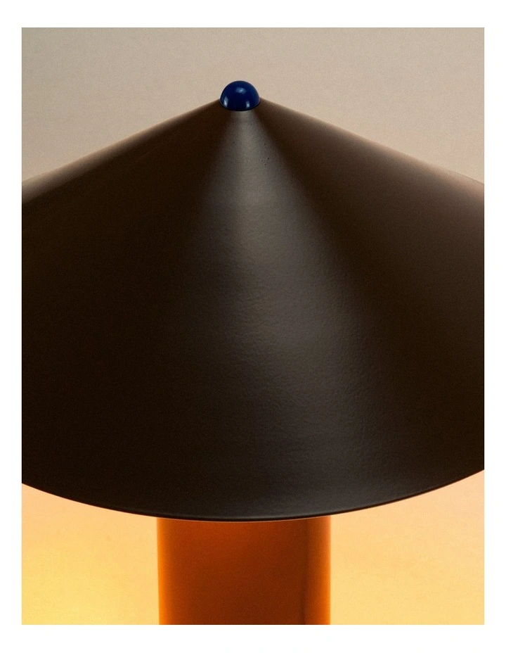 Sunnyboy Lamp in Dirt image 6