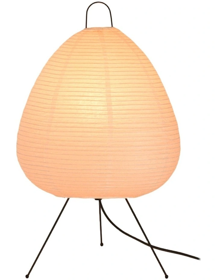Absolutely Necessary Lamp image 1