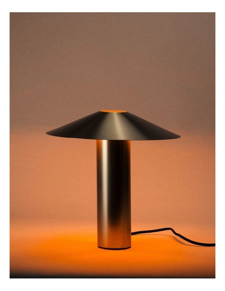 Hoist Lamp in Brushed Metal image 3