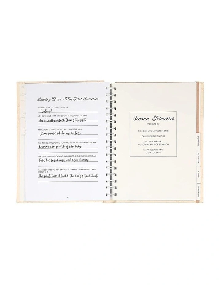 Pregnancy Journal - Blush image 2