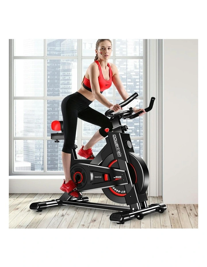 Powertrain IS-500 Heavy-Duty Exercise Spin Bike Electroplated - Black image 2