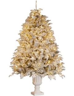 2.3m Christmas Tree Potted Alpine Fir with Pre Lit Multi-Colour LED Lights